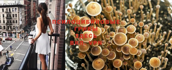 гидра Алзамай