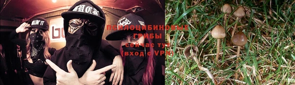 гидра Алзамай