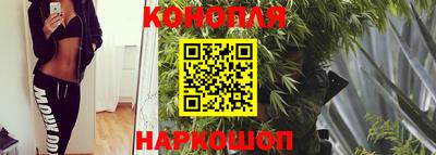 каннабис Ачхой-Мартан