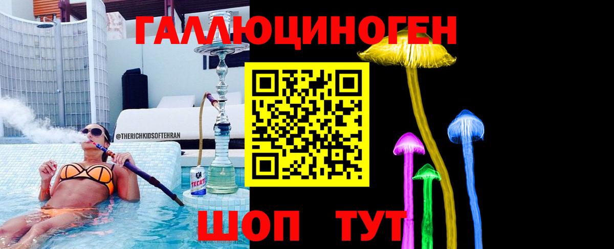 Галлюциногенные грибы Psilocybe  Вход с VPN  Североуральск 